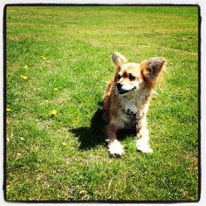 Meet your Posher, Amy